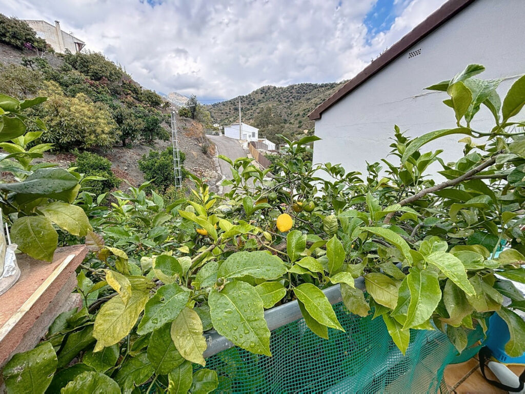 Detached Villa La Viñuela Málaga - image 48