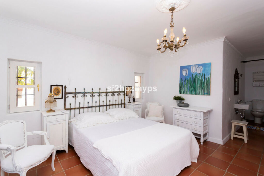 Detached Villa Sayalonga Málaga - image 48