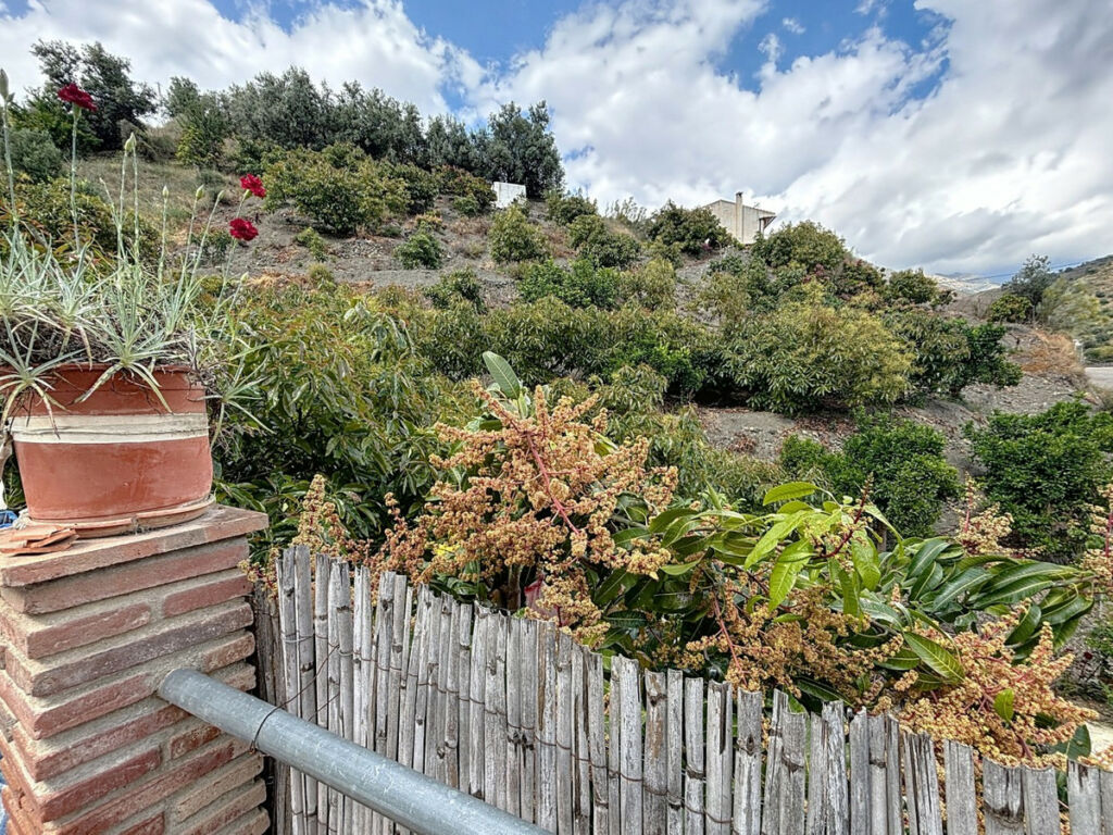 Detached Villa La Viñuela Málaga - image 49