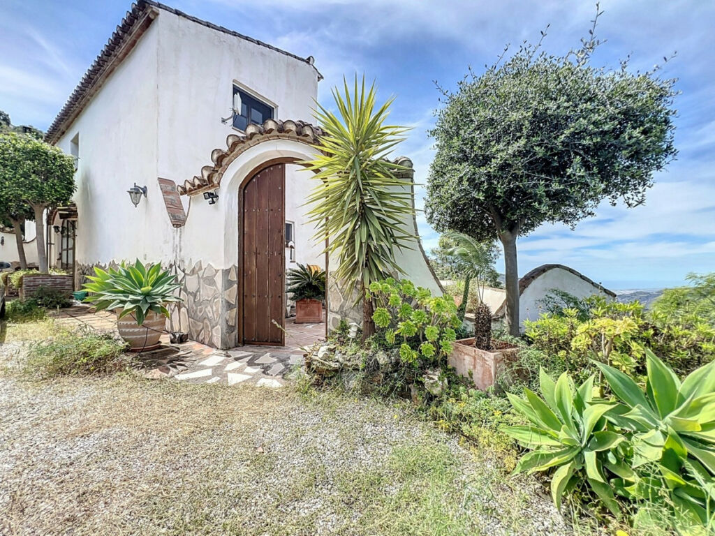 Detached Villa Sayalonga Málaga - image 5
