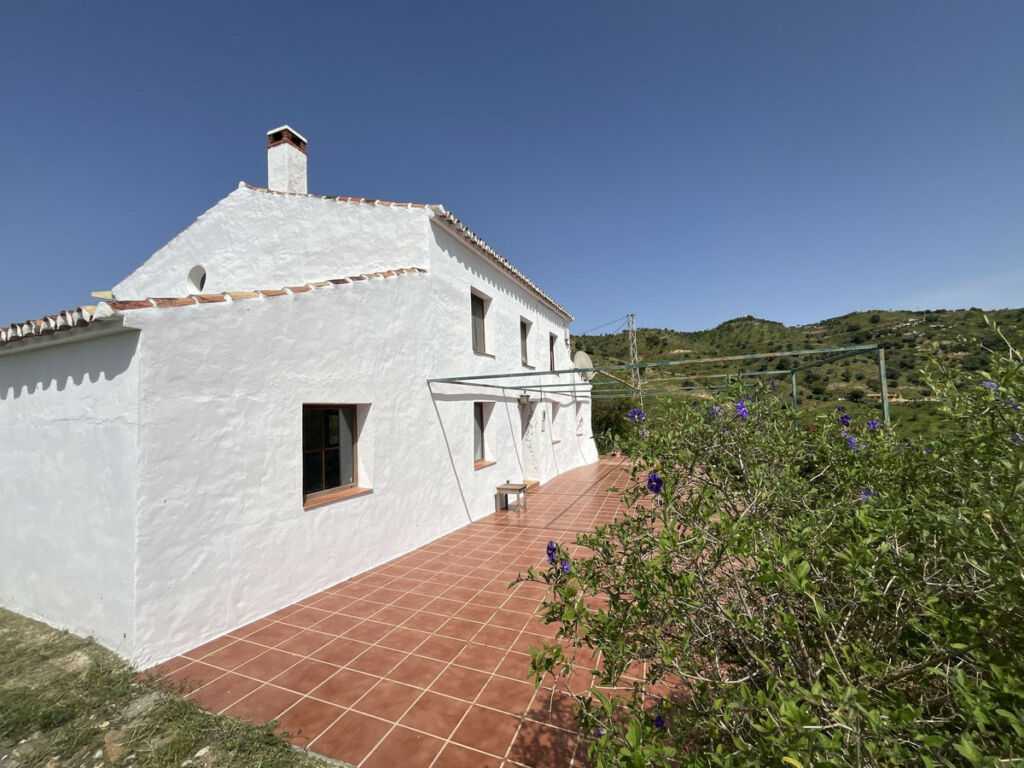 Finca - Cortijo Almogía Málaga - image 5