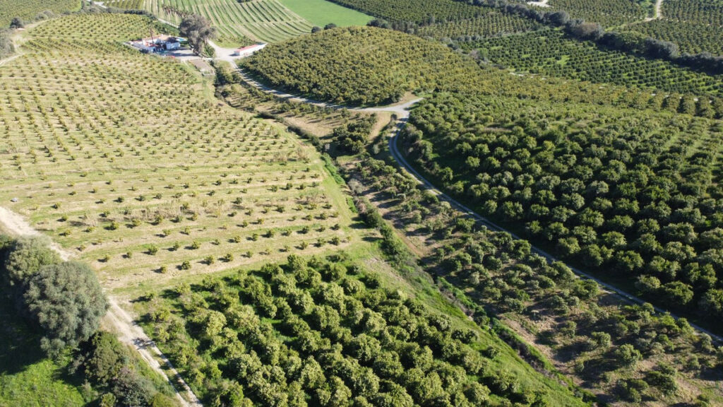 Land Casares Málaga - image 5