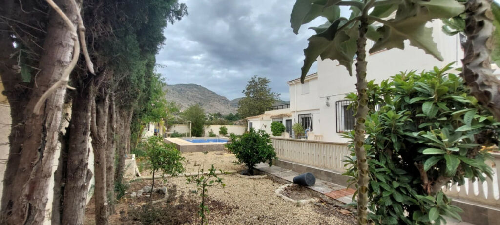 Detached Villa Orcheta Alicante - image 5