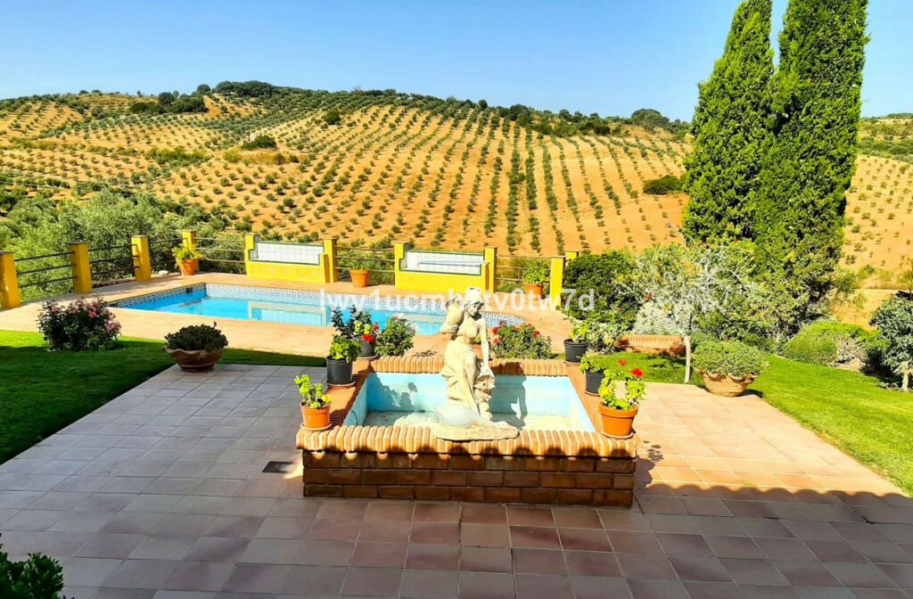 Finca - Cortijo Archidona Málaga - image 5