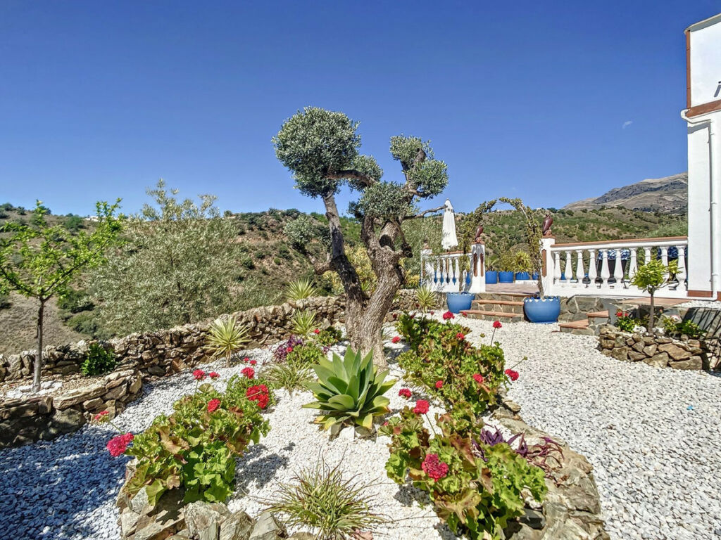 Finca - Cortijo Sedella Málaga - image 5