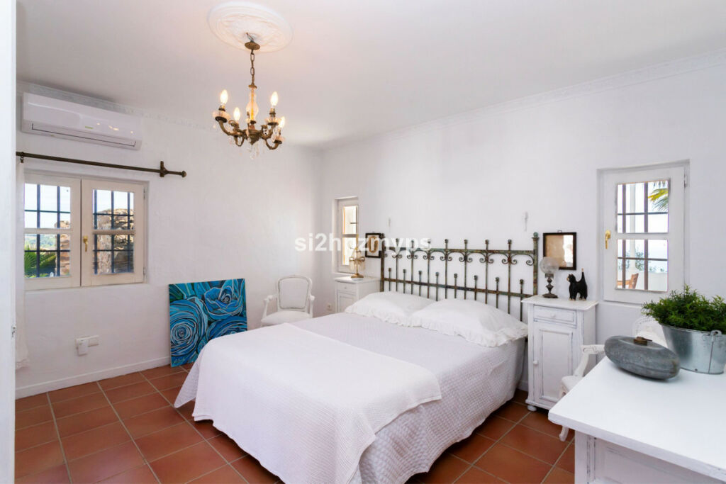 Detached Villa Sayalonga Málaga - image 50
