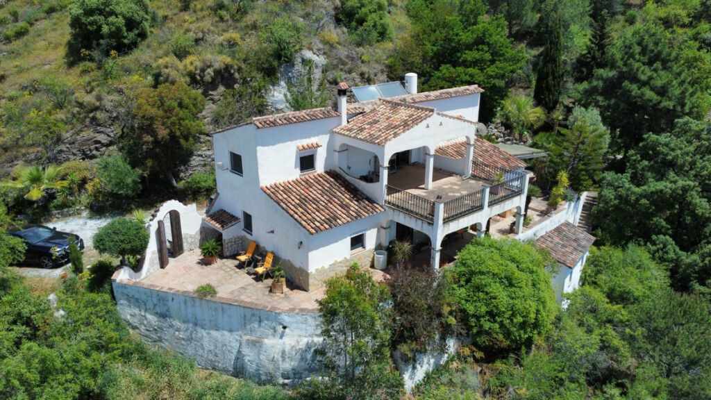 Detached Villa Sayalonga Málaga - image 50