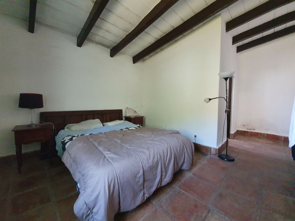 Finca - Cortijo San Enrique Cádiz - image 51