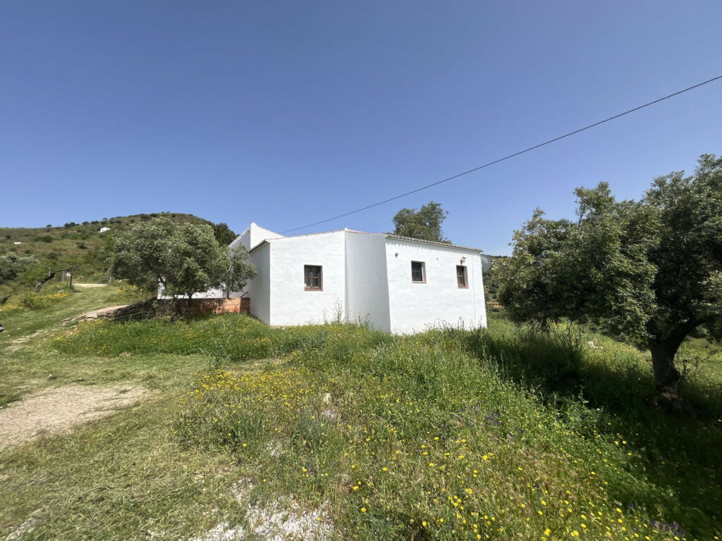 Finca - Cortijo Almogía Málaga - image 51
