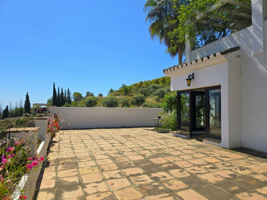 Detached Villa Torrox Málaga - image 54
