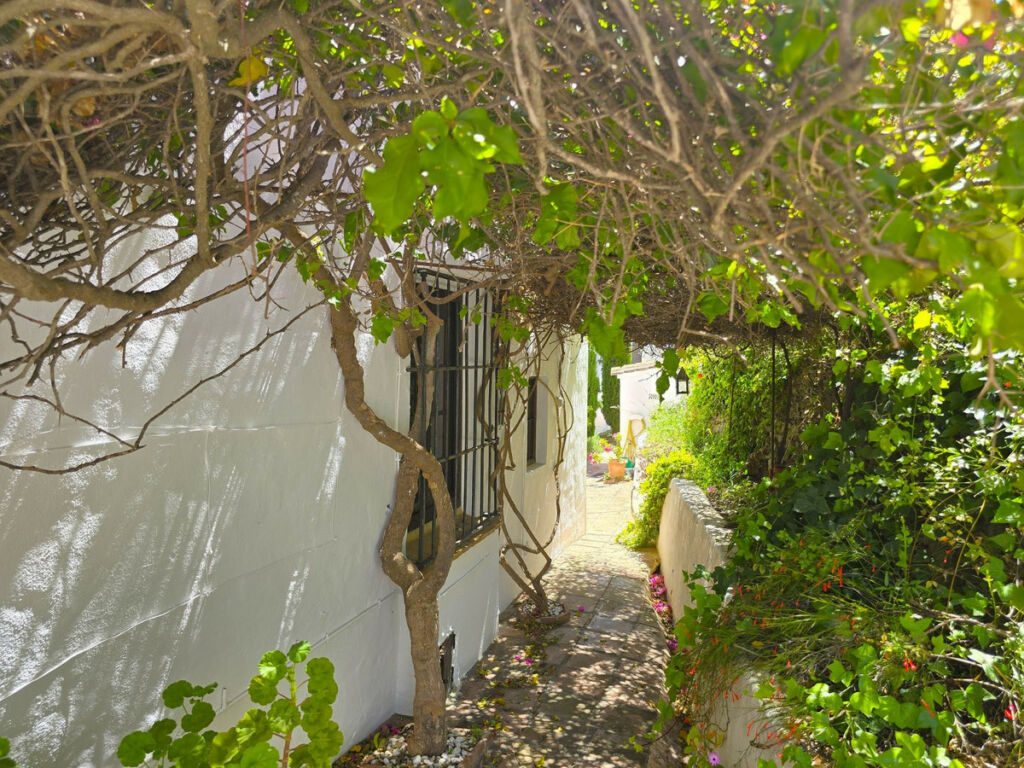 Detached Villa Torrox Málaga - image 56