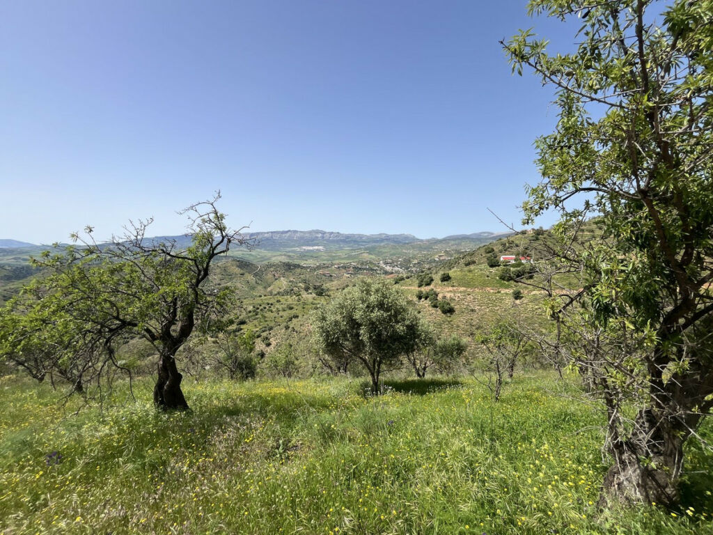 Finca - Cortijo Almogía Málaga - image 56