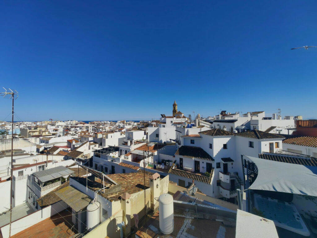 Detached Villa Estepona Málaga - image 57