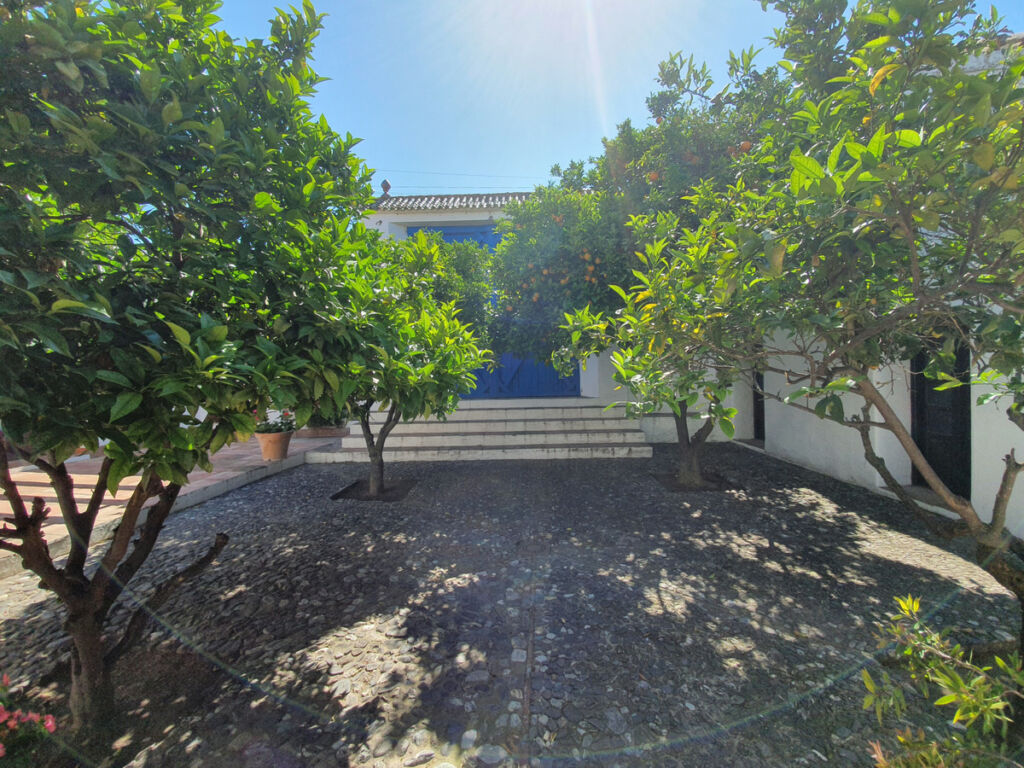 Finca - Cortijo San Enrique Cádiz - image 59