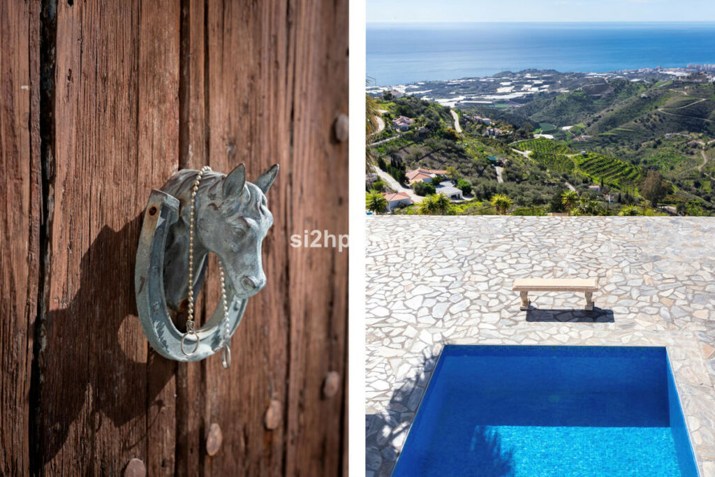Detached Villa Sayalonga Málaga - image 6