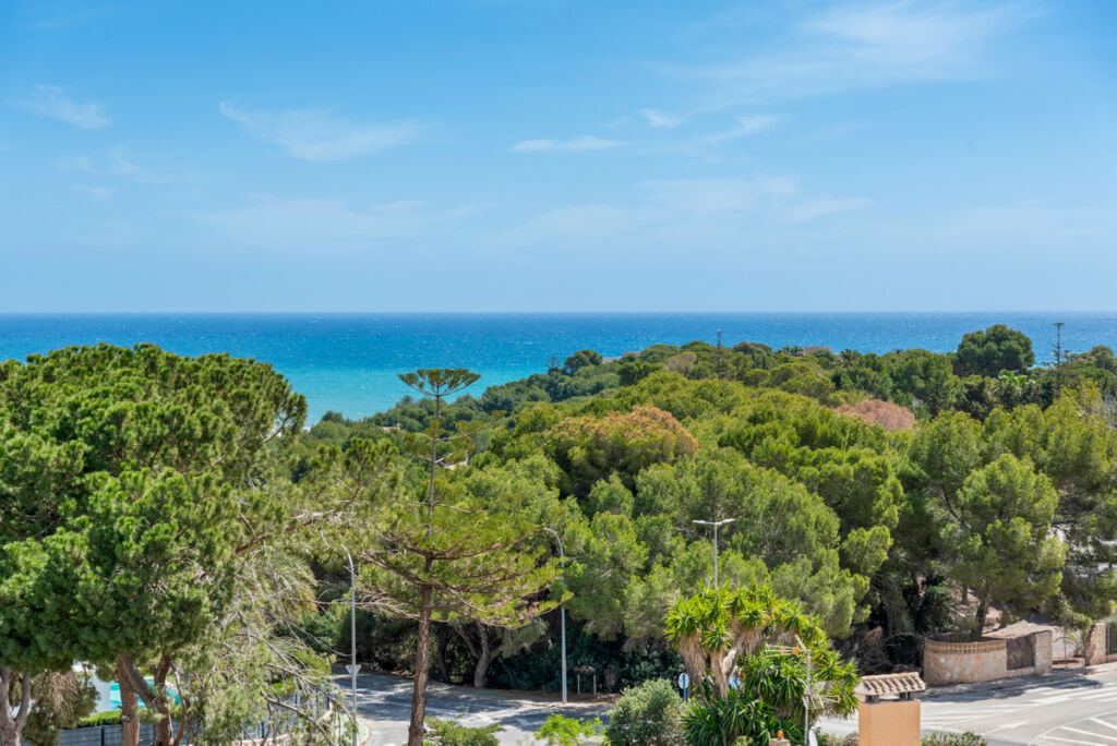 Middle Floor Apartment Campoamor Alicante - image 6