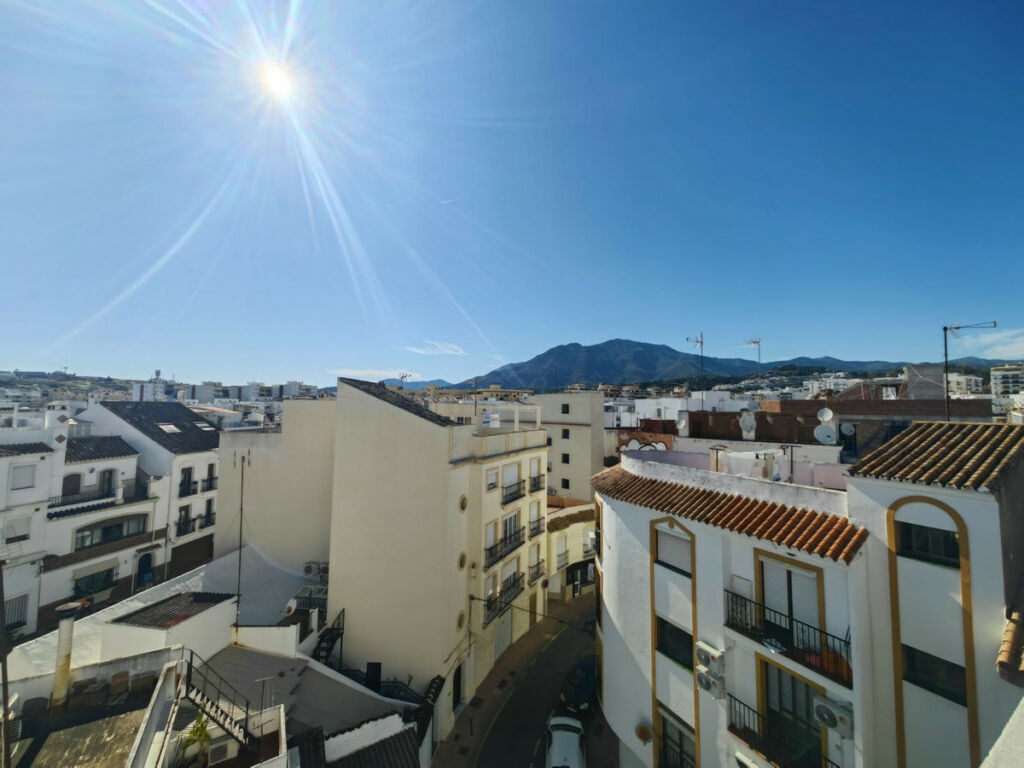 Detached Villa Estepona Málaga - image 60