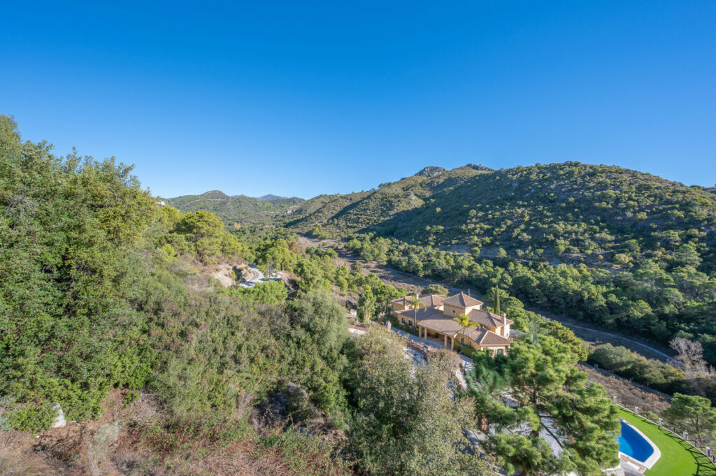 Detached Villa Benahavís Málaga - image 60