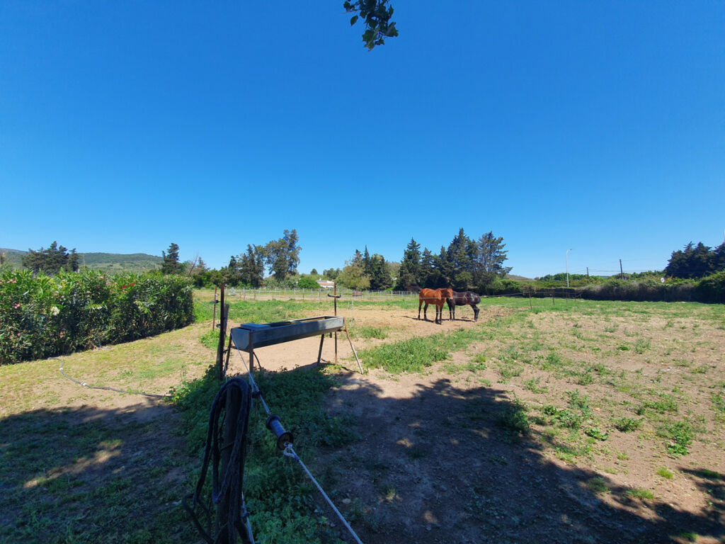 Finca - Cortijo San Enrique Cádiz - image 62