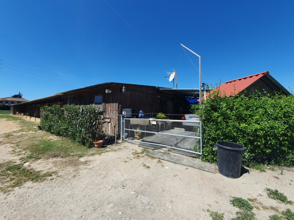 Finca - Cortijo San Enrique Cádiz - image 65