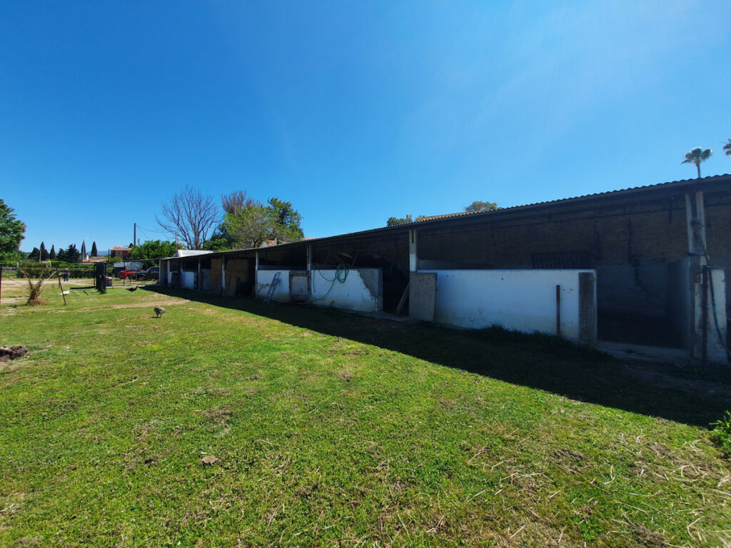 Finca - Cortijo San Enrique Cádiz - image 66
