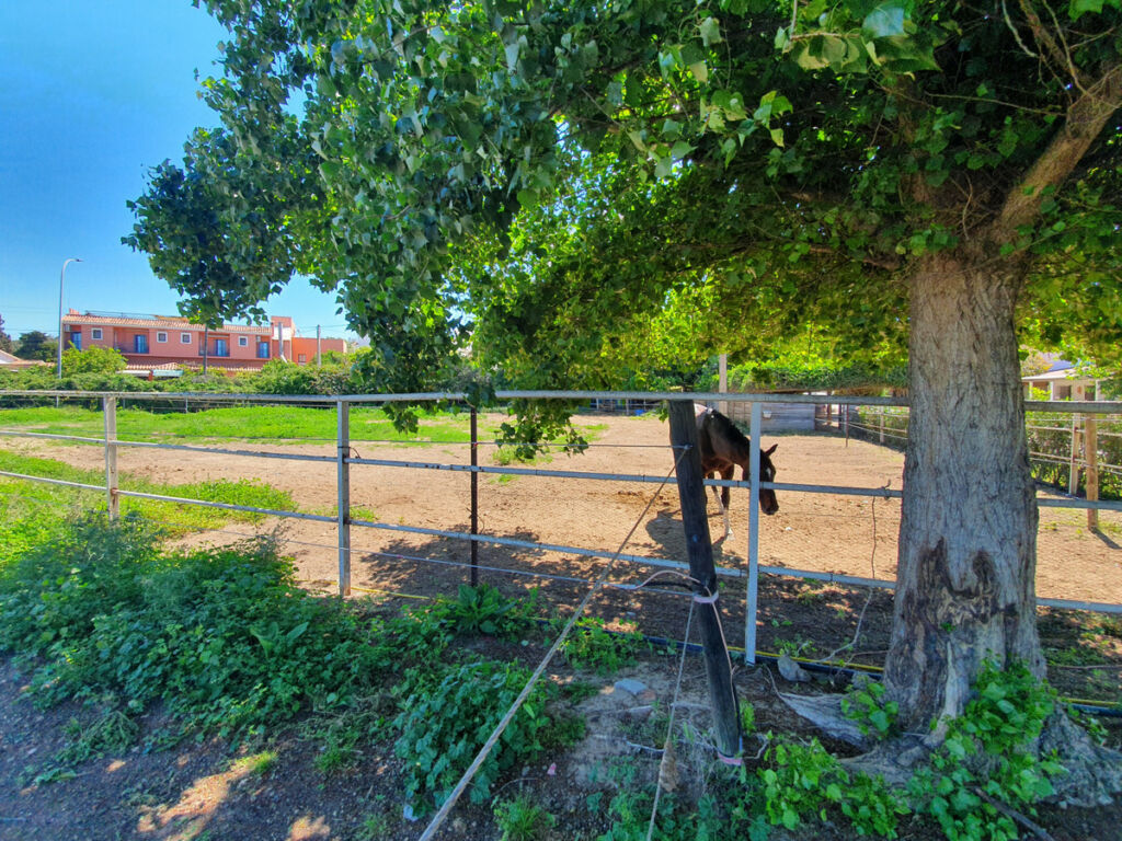 Finca - Cortijo San Enrique Cádiz - image 67