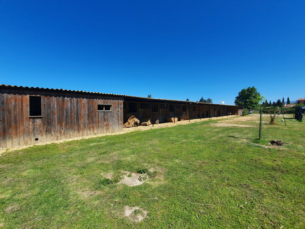 Finca - Cortijo San Enrique Cádiz - image 68