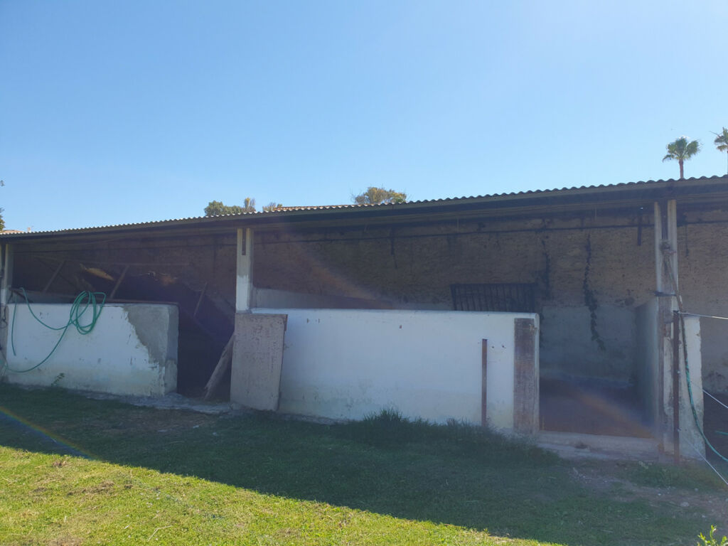 Finca - Cortijo San Enrique Cádiz - image 69
