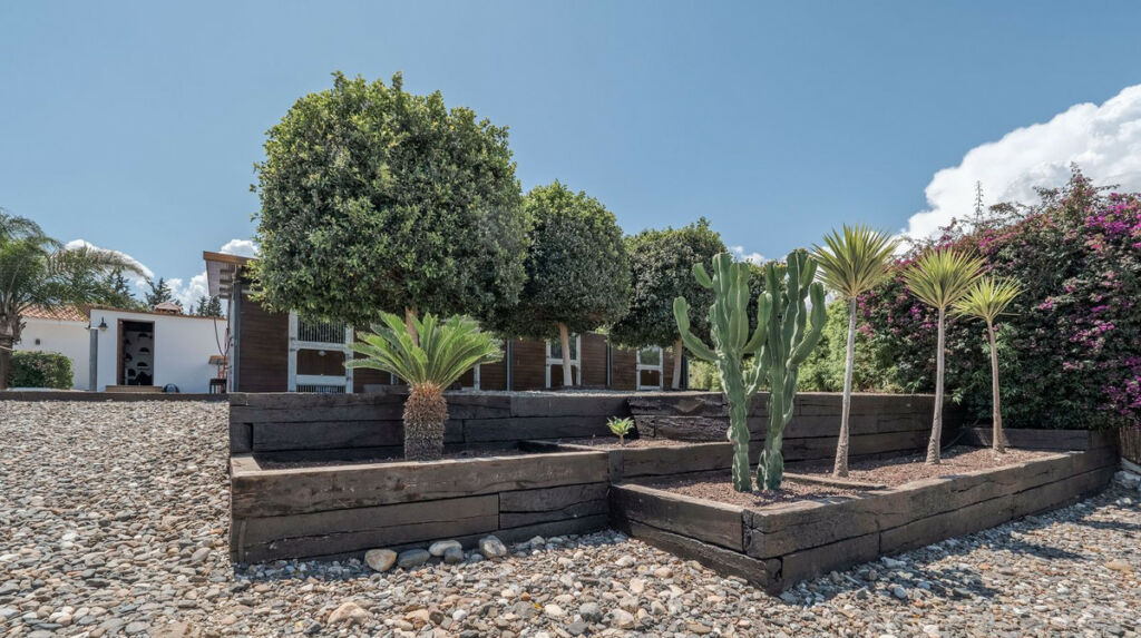 Finca - Cortijo Coín Málaga - image 69