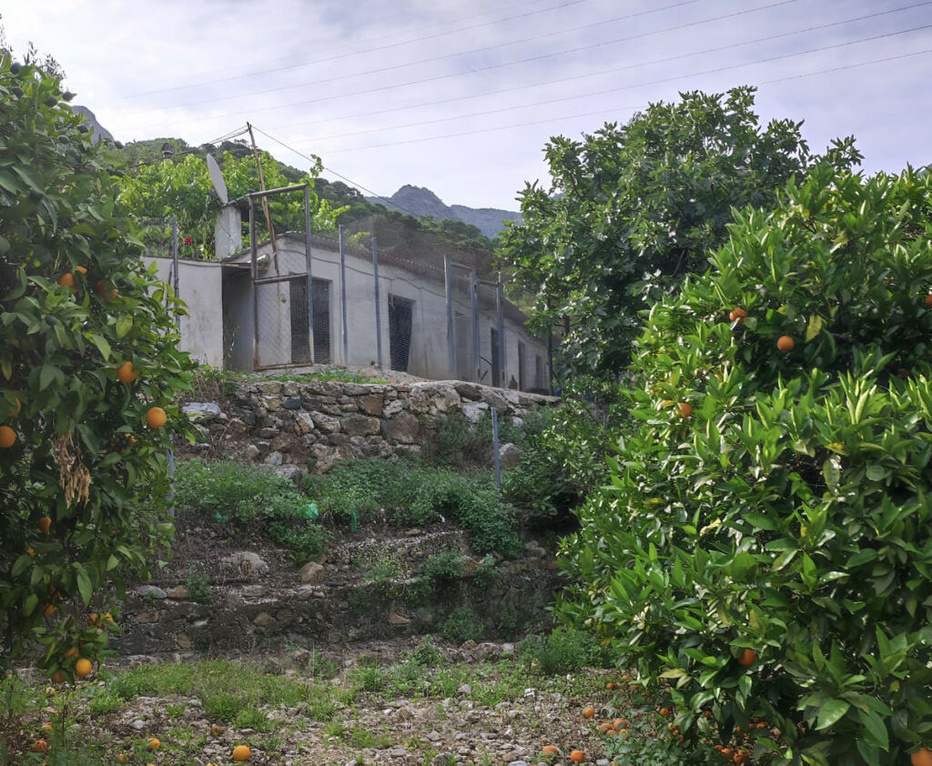 Finca - Cortijo Istán Málaga - image 13