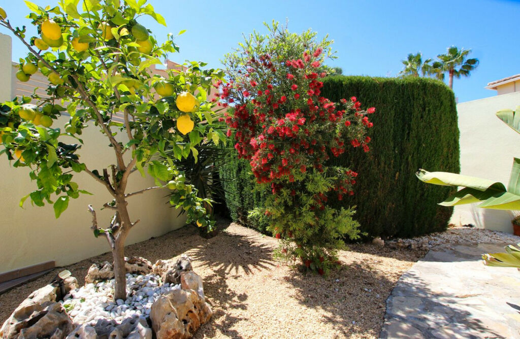 Detached Villa Calpe Alicante - image 7