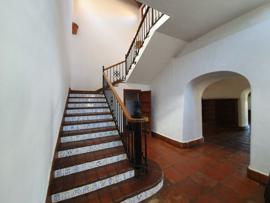 Finca - Cortijo San Enrique Cádiz - image 7