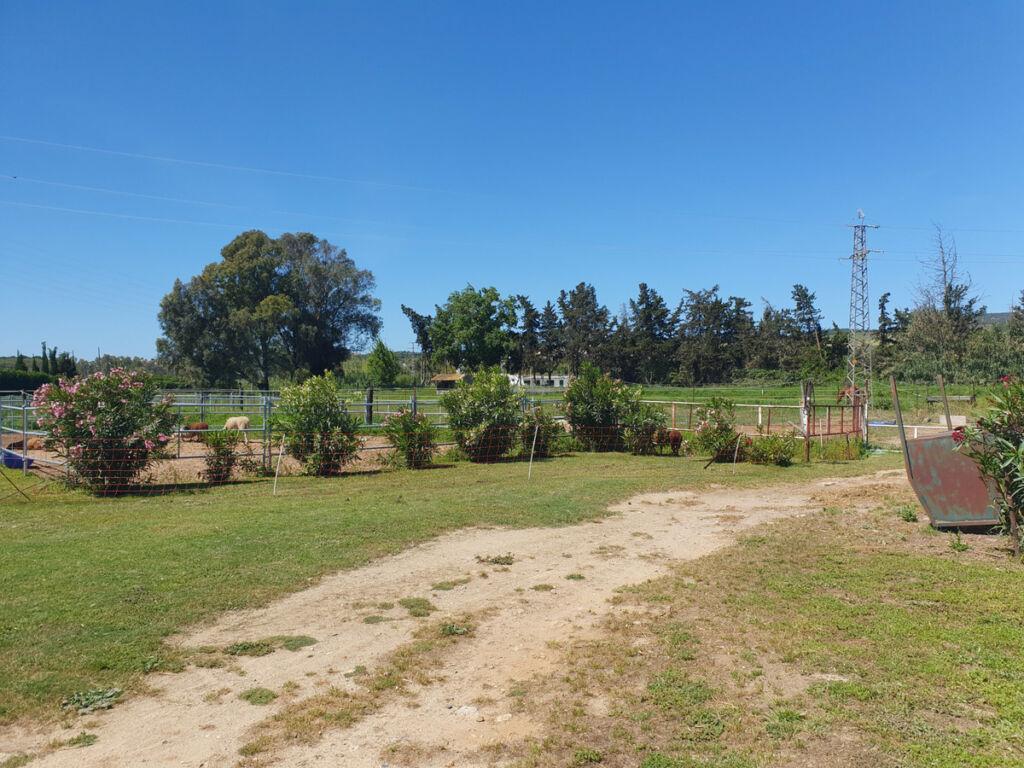 Finca - Cortijo San Enrique Cádiz - image 75