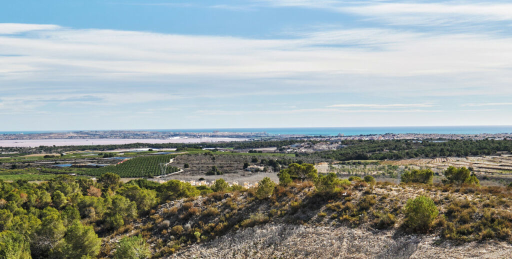 Detached Villa San Miguel de Salinas Alicante - image 77