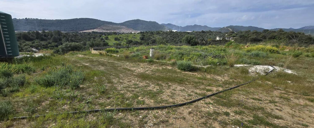 Residential Plot Coín Málaga - image 8
