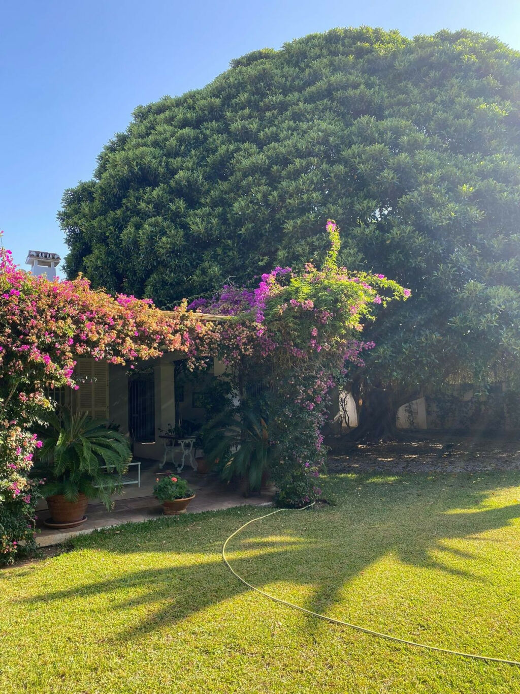 Detached Villa Guadalmina Baja Málaga - image 8
