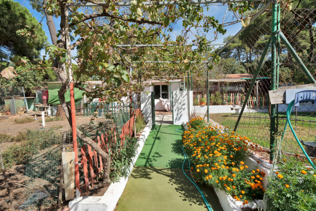 Detached Villa Marbella Málaga - image 8