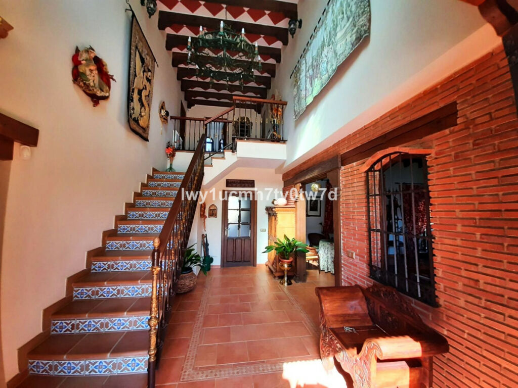 Finca - Cortijo Archidona Málaga - image 7