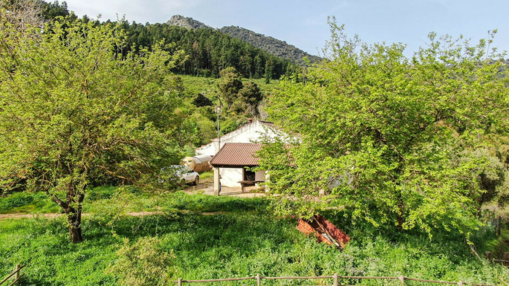 Finca - Cortijo Gaucín Málaga - image 9