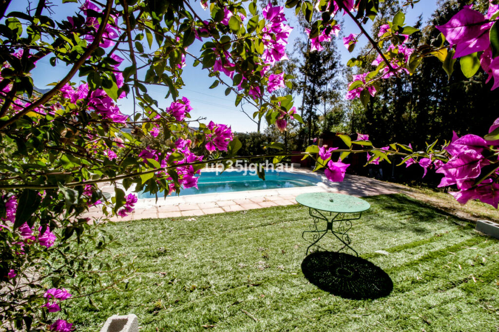 Detached Villa Gaucín Málaga - image 8