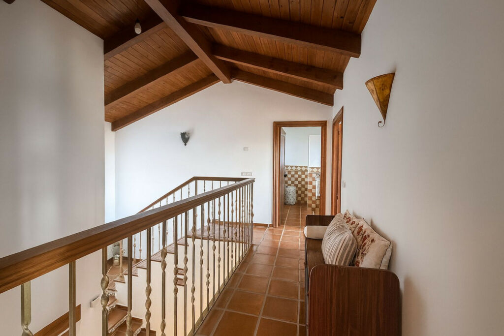 Detached Villa Istán Málaga - image 9