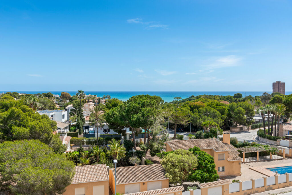 Middle Floor Apartment Campoamor Alicante - image 9