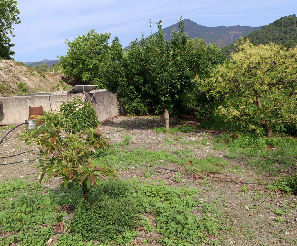 Finca - Cortijo Istán Málaga - image 15