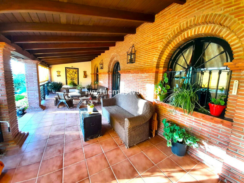 Finca - Cortijo Archidona Málaga - image 8