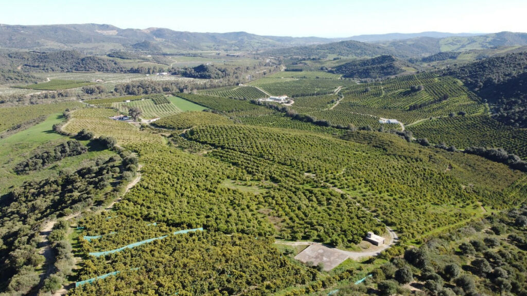 Land Casares Málaga - image 8