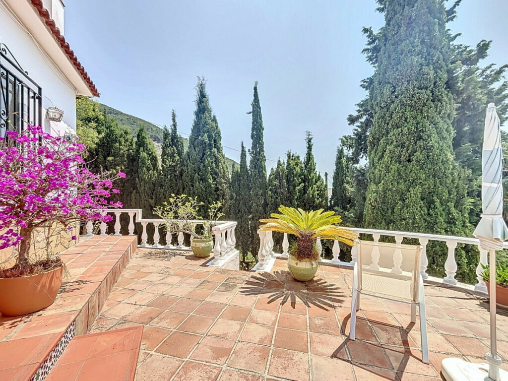 Detached Villa Alcaucín Málaga