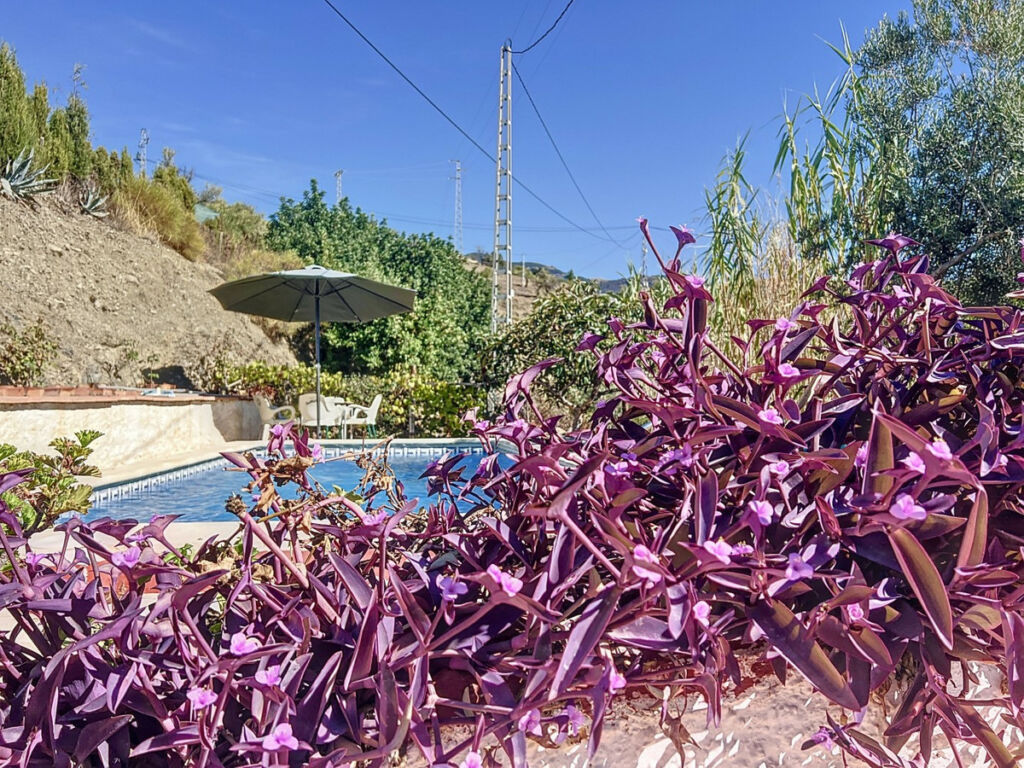 Detached Villa Sedella Málaga