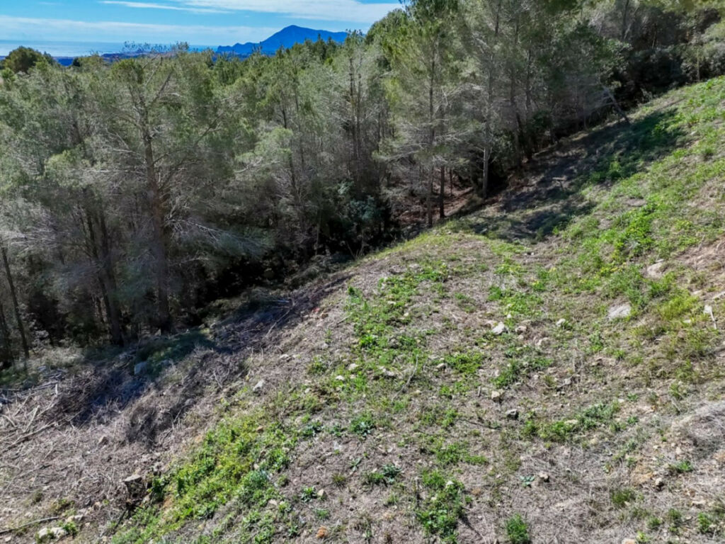 Land Callosa d'en Sarria Alicante