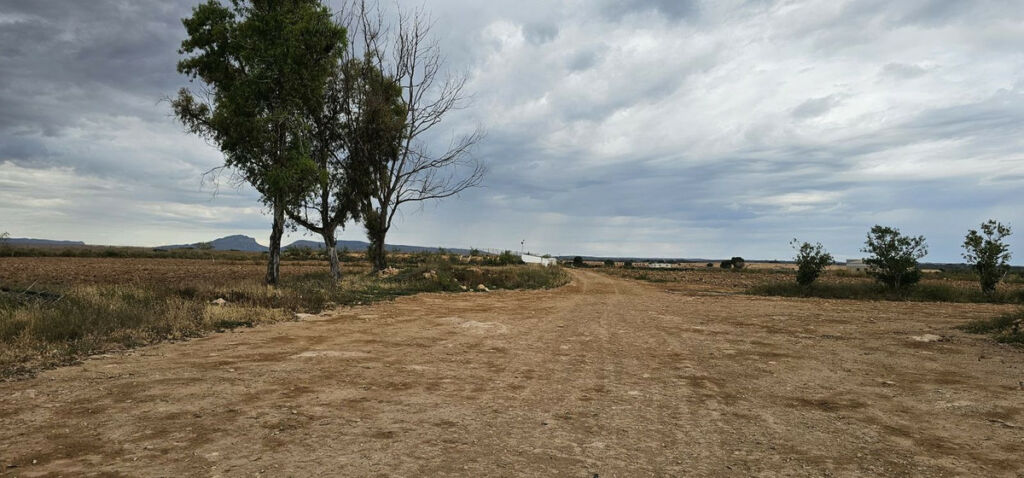 Commercial Plot Sucina Murcia