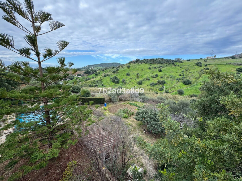 Finca - Cortijo Estepona Málaga